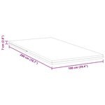 vidaXL Surmatelas Blanc 100 x 200 cm Tissu jacquard