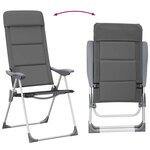 vidaXL Chaise de camping lot de 2 Gris 58x69x111 cm Aluminium