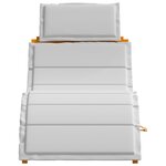 vidaXL Chaises Longues avec Coussins 2 Pièces Gris Clair Bois Massif d'Acacia