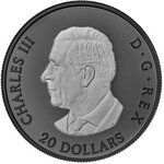 Pièce de monnaie en Argent 20 Dollars g 31.39 Millésime 2025 ELEGANT MAPLE