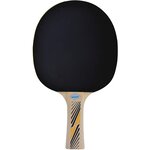 Schildkröt 705234 - Raquette de ping-pong Legends 300 FSC