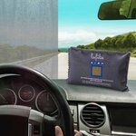 VidaXL Déshumidificateurs réutilisables pour voiture 2 Pièces 400 g