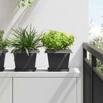vidaXL Pots de plantes 6 Pièces Noir 23 x 23 x 17 5 cm Plastique