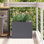 vidaXL Cache-pot de jardin Anthracite Acier laminé à froid