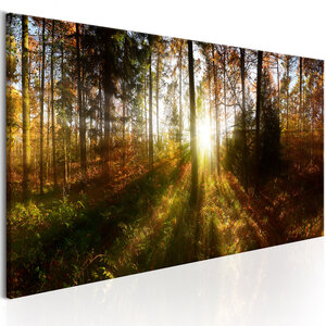 Tableau - beautiful forest  l x h en cm 120x40