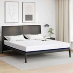 vidaXL Matelas Blanc  bleu 180 x 200 cm Mousse