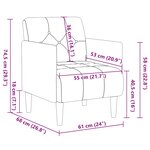 vidaXL Fauteuil avec accoudoirs noir 55 cm velours