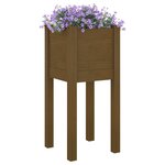vidaXL Jardinières d'extérieur 2 Pièces Marron miel 31x31x70cm Pin massif
