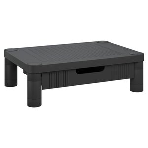 vidaXL Support de moniteur Noir 43x30 5x13 cm