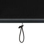 vidaXL Store roulant d'extérieur 170 x 250 cm Anthracite
