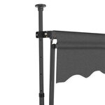vidaXL Auvent manuel rétractable avec LED 300 cm Anthracite