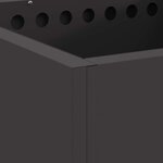 vidaXL Foyer sans fumée Noir 48 x 48 x 50 cm Acier