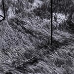 vidaXL Tapis Shaggy à poils longs NAVARRA gris foncé 100x100 cm