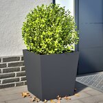 vidaXL Jardinières 2 Pièces anthracite 50x50x50 cm acier