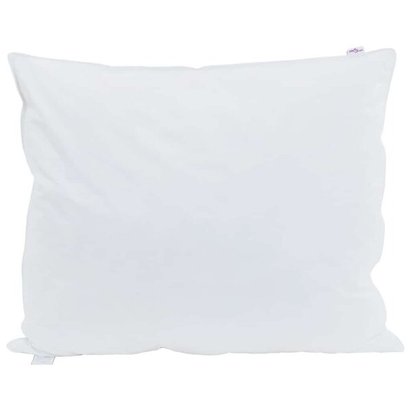 vidaXL Oreiller avec oreiller 2 Pièces Blanc 60 x 70 cm Plume