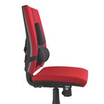 Support dorsal Premium noir - Fellowes