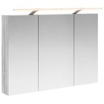 vidaXL Armoire Miroir de Salle de Bain Gris Sonoma 100 x 14 5 x 70 cm