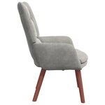 vidaXL fauteuil Gris clair 63 x 67 x 94 cm Velours