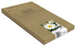 Epson Daisy Multipack EasyMail "Pâquerette" 18XL - Encre Claria Home N C M J