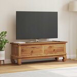 vidaXL Meuble TV Naturel 110 x 35 x 40 cm Bois de teck massif