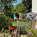 Hozelock Enrouleur de tuyau sur pied/mural 60 m et tuyau de 50 m