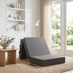 vidaXL Canapé-lit pliable 75 x 63 x 45 cm Gris clair