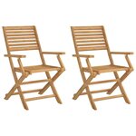 vidaXL Chaises pliables de jardin lot de 2 bois massif d'acacia