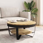 vidaXL Table basse Bois massif de manguier brut 65x32 cm