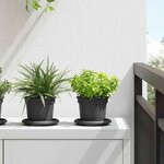 vidaXL Pot à fleurs rond 6 Pièces Noir Ø 12 5 x 10 cm Plastique