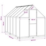 vidaXL Serre de jardin avec porte Anthracite 183 5 x 303 5 x 207 cm
