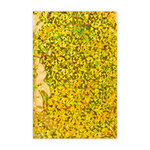 Lot de 20 sachet alu holographique doré 450x320 mm (c3)