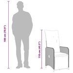 vidaXL Chaise inclinable de jardin avec coussins gris résine tressée