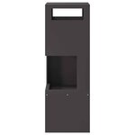 vidaXL Braise Noir 35 x 35 x 100 cm Acier laminé à froid