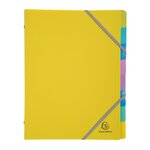Trieur plastique forever young exacompta 8 divisions couleurs assorties - lot de 4