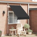 vidaXL Auvent manuel rétractable 150 cm Anthracite