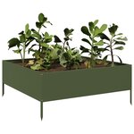 vidaXL Lit surélevé de jardin vert olive 100x100x25 cm acier