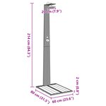 vidaXL Douche de jardin Grise 60x80x214 cm Poly Rattan