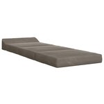 vidaXL Canapé-lit pliable Gris clair 200 x 70 x 10 cm Velours