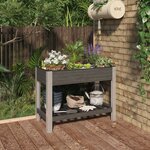 vidaXL Lit surélevé de jardin avec étagère Gris 100x50x75 cm WPC