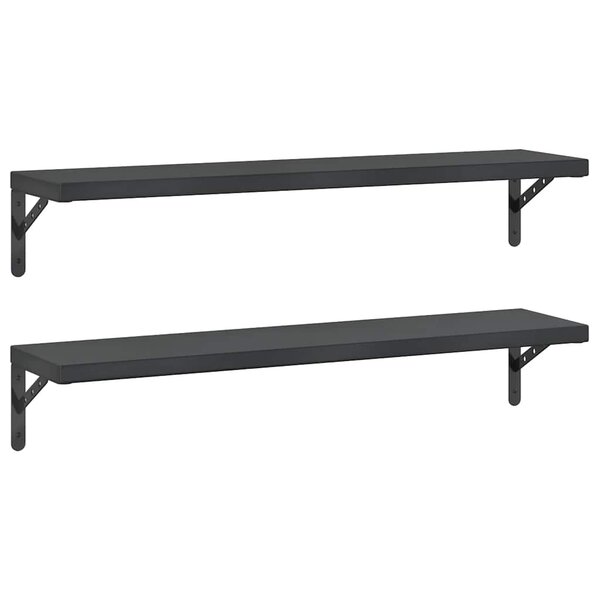 vidaXL Étagères murales 2 Pièces 100x23 5 cm noir acier inoxydable