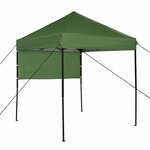 vidaXL Tente à auvent pop-up Vert 200 x 200 cm tissu