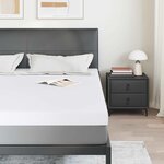 vidaXL Coussins de Matelas Blanc 180 x 200 cm