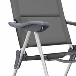 vidaXL Chaise de camping lot de 2 Gris 58x69x111 cm Aluminium
