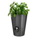 PoeTIC Pot Fresh Herbs 13 - Granite