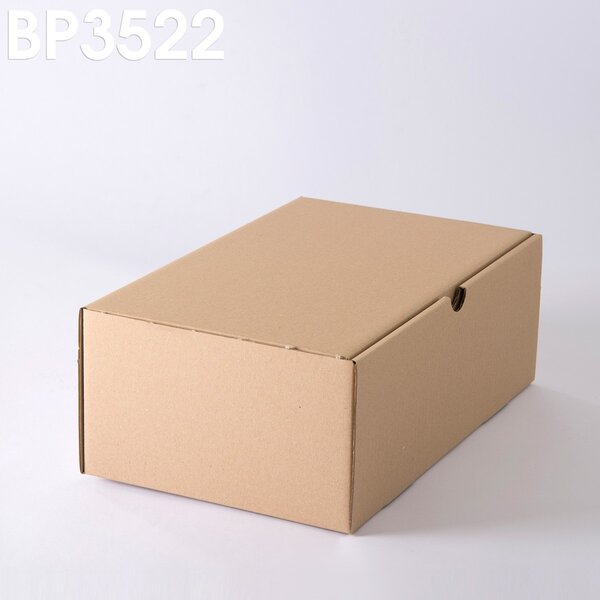 Lot de 500 Boîtes postales brunes 350x220x130 mm