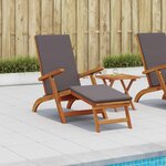vidaXL Chaise longue inclinable et pliable 55 x 146 x 91 cm