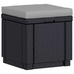 Keter Pouf de rangement Cube avec coussin Graphite