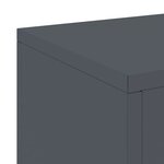 vidaXL Supports pour plantes 2 Pièces Anthracite 24 x 24 x 35 cm Acier