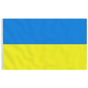 vidaXL Drapeau de l'Ukraine avec œillets en laiton 90x150 cm