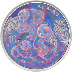 Pièce de monnaie en Argent 10 Yuan g 30 Millésime 2025 RAINBOW PANDA